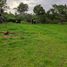  Land for sale in Santo Domingo De Los Colorados, Santo Domingo De Los Tsachilas, Santo Domingo De Los Colorados, Santo Domingo, Santo Domingo De Los Tsachilas