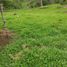  Land for sale in Santo Domingo De Los Colorados, Santo Domingo De Los Tsachilas, Santo Domingo De Los Colorados, Santo Domingo, Santo Domingo De Los Tsachilas