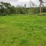  Land for sale in Santo Domingo De Los Colorados, Santo Domingo De Los Tsachilas, Santo Domingo De Los Colorados, Santo Domingo, Santo Domingo De Los Tsachilas