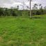  Land for sale in Santo Domingo De Los Colorados, Santo Domingo De Los Tsachilas, Santo Domingo De Los Colorados, Santo Domingo, Santo Domingo De Los Tsachilas