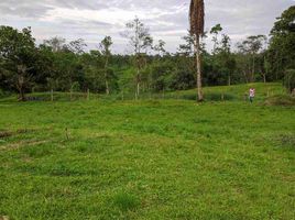  Land for sale in Santo Domingo De Los Colorados, Santo Domingo De Los Tsachilas, Santo Domingo De Los Colorados, Santo Domingo, Santo Domingo De Los Tsachilas