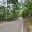  Land for sale in San Antonio, San Martin, San Antonio, San Martin, San Martin