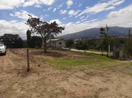  Terreno (Parcela) en venta en Tumbaco, Quito, Tumbaco