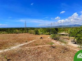  Terrain for sale in Carcar City, Cebu, Carcar City