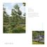 3 Habitación Villa en venta en Kenjeran, East Jawa, Kenjeran