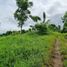  Land for sale in Cavite, Calabarzon, Tagaytay City, Cavite