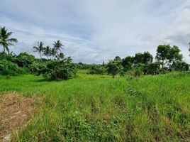  Land for sale in Cavite, Calabarzon, Tagaytay City, Cavite