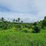  Land for sale in Cavite, Calabarzon, Tagaytay City, Cavite