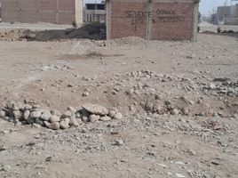  Grundstück zu verkaufen in Carabayllo, Lima, Carabayllo, Lima, Lima, Peru