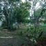 3 Bedroom Villa for sale in Seye, Yucatan, Seye