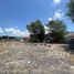  Land for rent in Denpasar Selata, Bali, Denpasar Selata, Denpasar