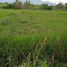  Terrain for sale in Aborlan, Palawan, Aborlan