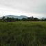  Land for sale in Aborlan, Mimaropa, Aborlan