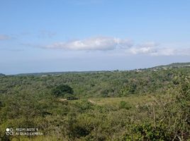  Terreno (Parcela) en venta en San Lorenzo, Manta, San Lorenzo