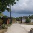 3 Bedroom House for sale in Cebu Central Visayas, Moalboal