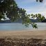 Land for sale in Aborlan, Mimaropa, Aborlan