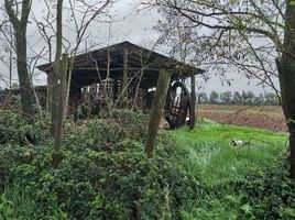  Land for sale in Maule, Talca, Talca, Maule