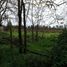  Land for sale in Maule, Talca, Talca, Maule