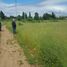  Land for sale in Teno, Maule, Teno, Curico