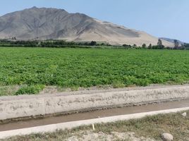  Grundstück zu verkaufen in Huaral, Lima, Huaral, Huaral