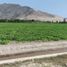  Land for sale in Huaral, Lima, Huaral, Huaral