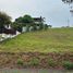  Terreno (Parcela) en venta en Muntinlupa City, Metro Manila, Muntinlupa City, Southern District, Metro Manila