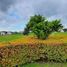  토지을(를) Pulilan, Bulacan에서 판매합니다., Pulilan