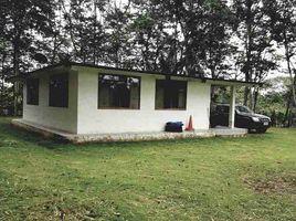  Land for sale in Santo Domingo De Los Colorados, Santo Domingo De Los Tsachilas, Santo Domingo De Los Colorados, Santo Domingo, Santo Domingo De Los Tsachilas