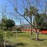 在墨西哥出售的 Quinta, Juarez, Nuevo Leon, 墨西哥
