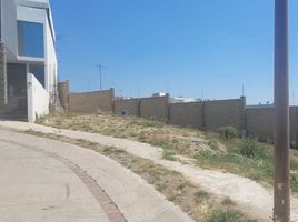  Grundstück zu verkaufen in Leon, Guanajuato, Leon, Guanajuato