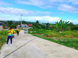  Terrain for sale in Carcar City, Cebu, Carcar City