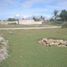  Land for sale in Lapu-Lapu City, Central Visayas, Lapu-Lapu City, Cebu