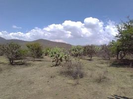 Grundstück zu verkaufen in San Martin De Las Piraamides, Mexico, San Martin De Las Piraamides