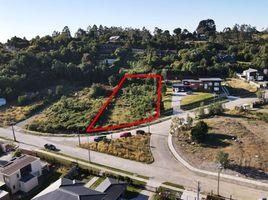  Land for sale in Chile, Puerto Montt, Llanquihue, Los Lagos, Chile