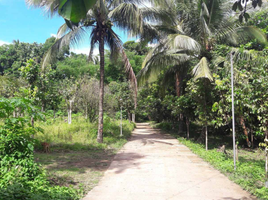  Land for sale in San Pablo City, Laguna, San Pablo City