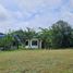  Land for sale in Cebu Central Visayas, Alegria
