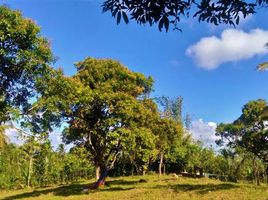  Land for sale in Cavite, Calabarzon, Mendez, Cavite