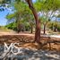  Land for sale in Colima, Colima, Colima, Colima