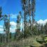  Terreno (Parcela) en venta en Araucanía, Golbea, Cautín, Araucanía
