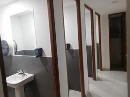 1,090 m² Office for rent in Miguel Hidalgo, Mexico City, Miguel Hidalgo
