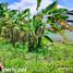  Terrain à vendre à MARYVILLE SUBDIVISION., Cebu City