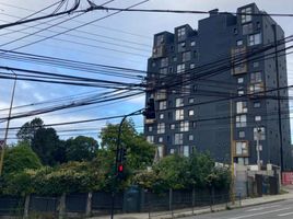 1 Habitación Apartamento en venta en Llanquihue, Los Lagos, Puerto Montt, Llanquihue