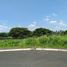  Land for sale in Tiaong, Quezon, Tiaong