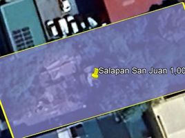  Land for sale in The Minor Basilica and Metropolitan Cathedral of the Immaculate Conception, San Juan City, San Juan City