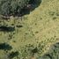 Terreno (Parcela) en venta en Pinal De Amoles, Querétaro, Pinal De Amoles