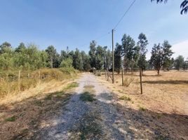  Land for sale in Nuble, Chillan, Diguillin, Nuble