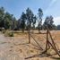  Land for sale in Nuble, Chillan, Diguillin, Nuble