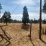  Land for sale in Nuble, Chillan, Diguillin, Nuble