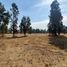  Land for sale in Nuble, Chillan, Diguillin, Nuble