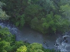 2 Kamar Vila for sale in Ubud, Gianyar, Ubud